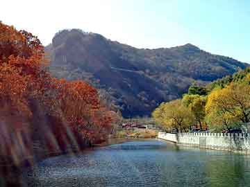 新澳天天开奖资料大全旅游团，扎囊seo建站